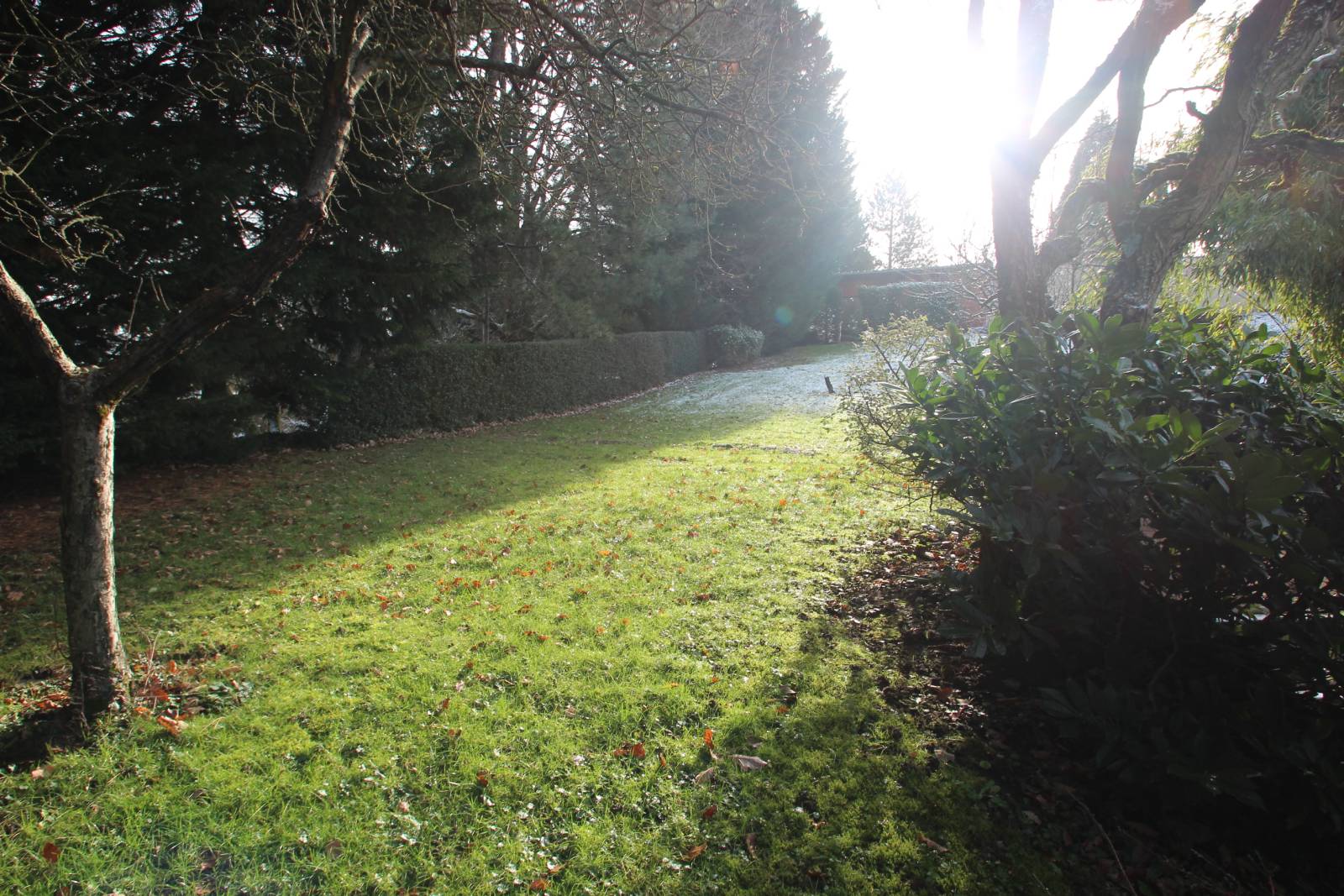 A vendre, terrain constructible de 9 ares sur les hauteurs de Rott.