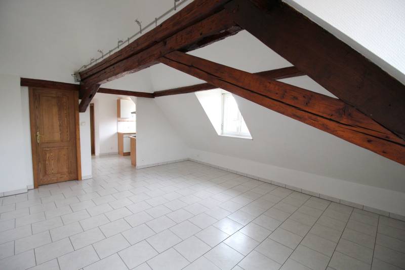 A louer, appartement 2 pièces de 46 m² comprenant une cuisine ouverte, une chambre et une place parking à HOCHFELDEN