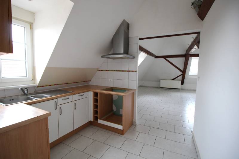 A louer, appartement 2 pièces de 46 m² comprenant une cuisine ouverte, une chambre et une place parking à HOCHFELDEN
