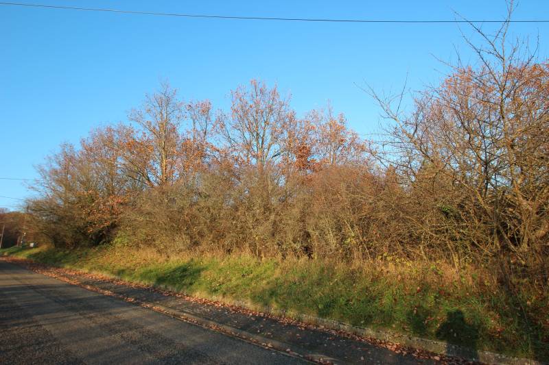 A vendre, terrain de 18,07 ares dont 15,13 ares constructibles à GOERSDORF