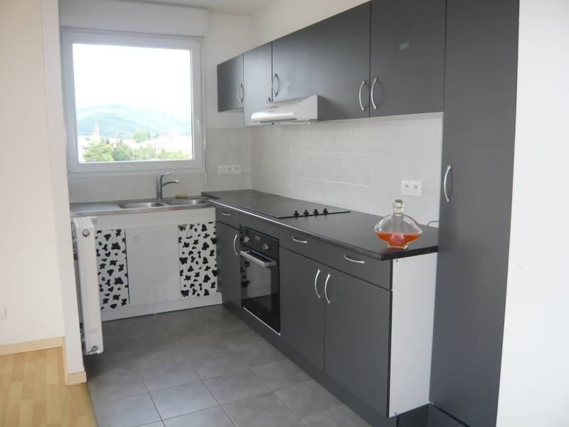 A louer appartement 3 Pièces avec 2 chambres accompagné d'un balcon, garage et une vue imprenable sur Saverne