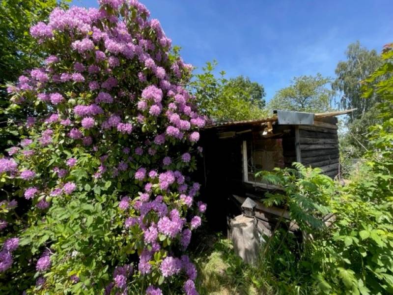 A vendre maison de 4 pièces et de 89 m² en bordure de forêt et au calme à HOMMERT proche Saverne